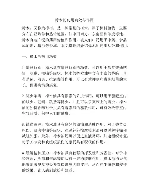 樟木的药用功效与作用