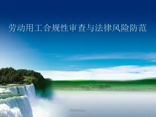 劳动用工合规性及法律风险防范ppt课件