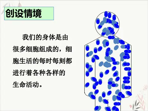 细胞的生活需要物质和能量PPT.