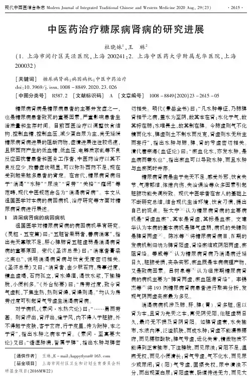 中医药治疗糖尿病肾病的研究进展