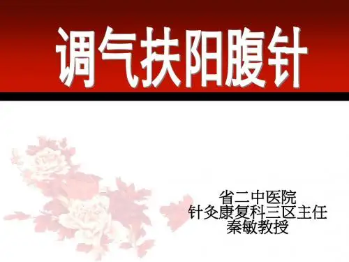 调气扶阳腹针PPT课件