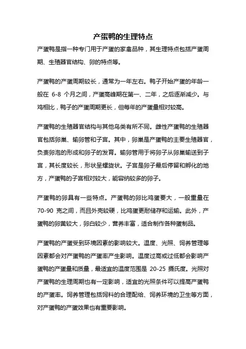 产蛋鸭的生理特点