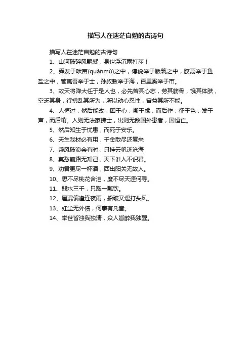 描写人在迷茫自勉的古诗句
