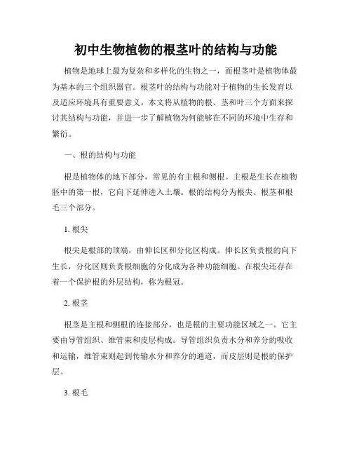 初中生物植物的根茎叶的结构与功能
