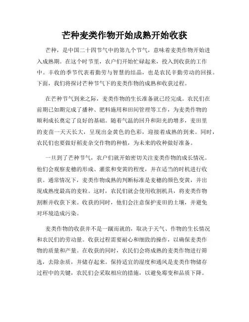 芒种麦类作物开始成熟开始收获