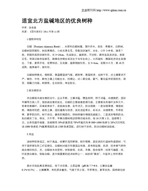适宜北方盐碱地区的优良树种