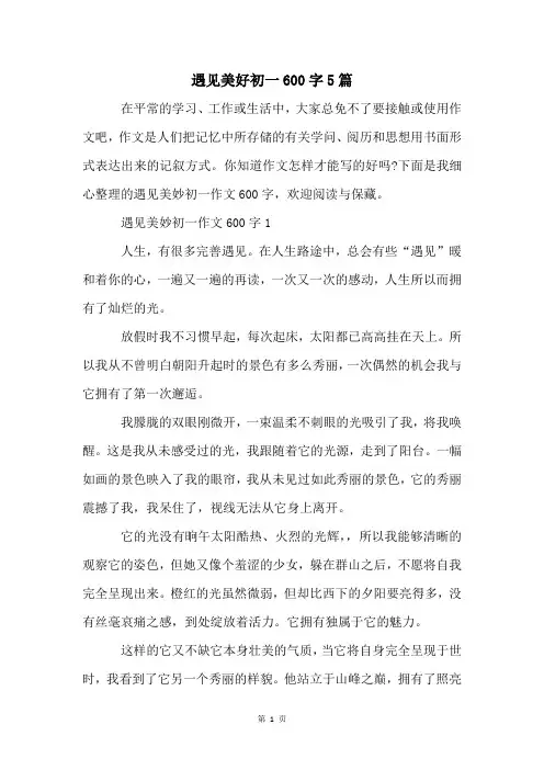 遇见美好初一600字5篇