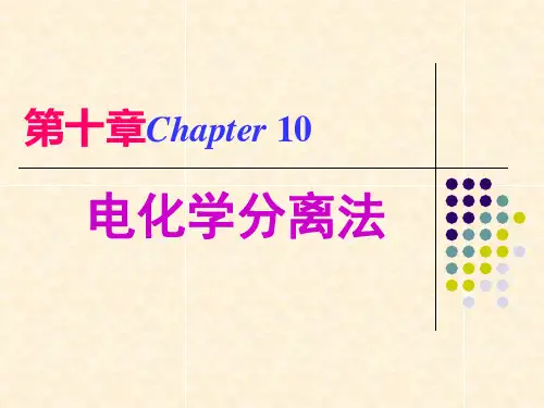 10电化学分离法