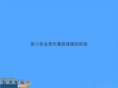 第六章金黄色葡萄球菌的检验PPT资料