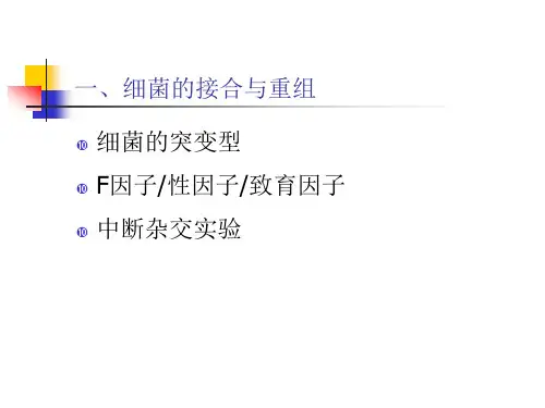 医学课件第五部分A细菌与噬菌体的遗传分析