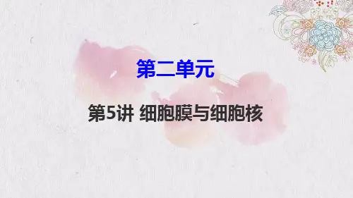 高考生物一轮复习2：第5讲 细胞膜与细胞核优质课件