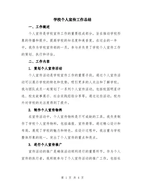 学校个人宣传工作总结
