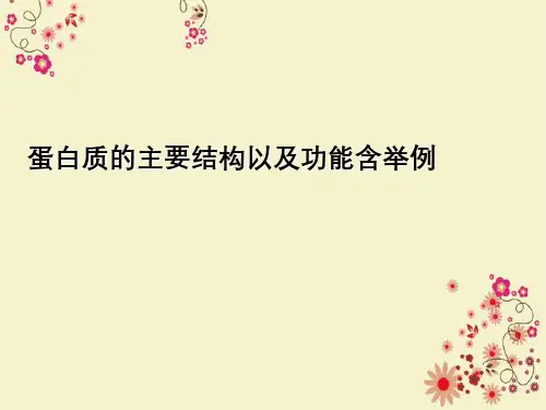 蛋白质主要结构以及功能含举例