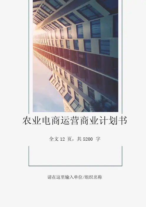 农业电商运营商业计划书940
