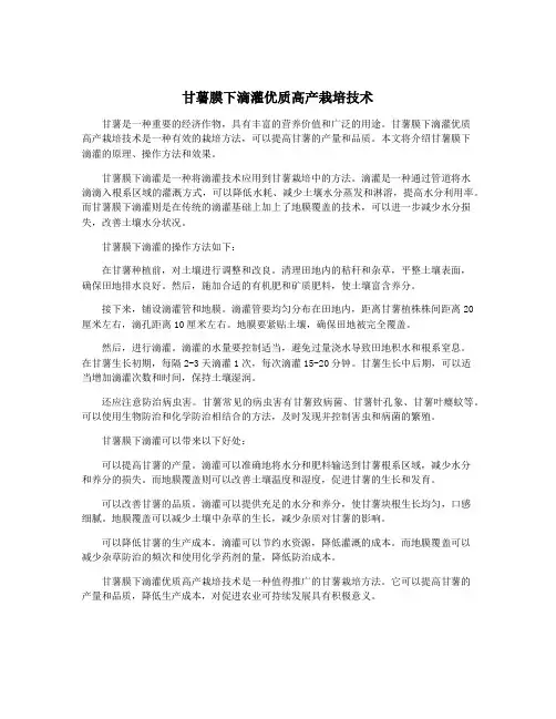 甘薯膜下滴灌优质高产栽培技术