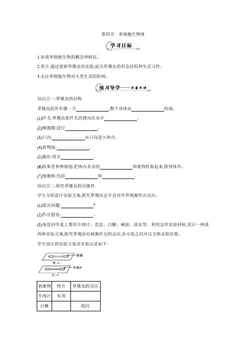 冀教版七年级上册生物1.2.4 单细胞生物体(导学案3 ).doc
