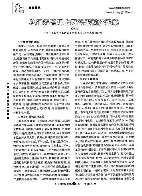 从饲养管理上提高蛋鸭产蛋率