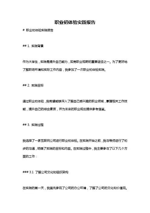 职业初体验实践报告