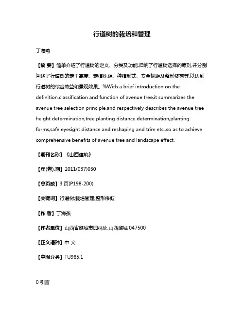 行道树的栽培和管理