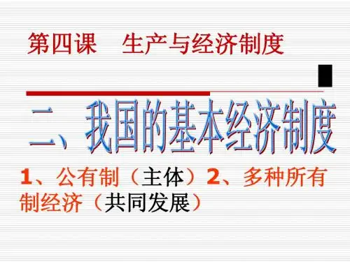 我国的基本经济制度