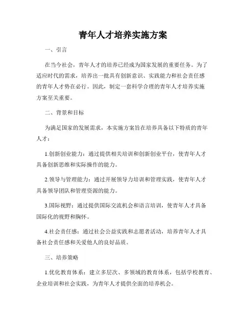 青年人才培养实施方案
