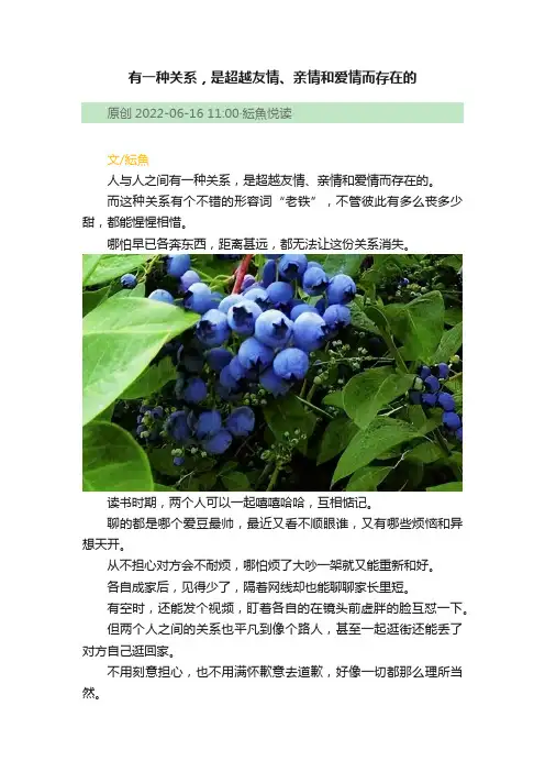 有一种关系，是超越友情、亲情和爱情而存在的