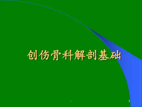 创伤骨科解剖基础ppt课件
