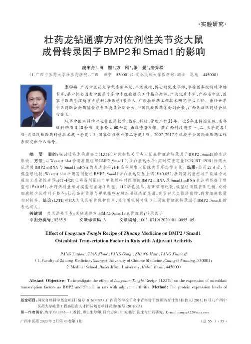 壮药龙钻通痹方对佐剂性关节炎大鼠成骨转录因子bmp2和smad1的影响