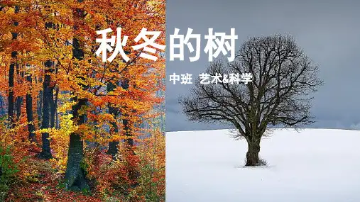 中班-艺术科学-秋冬的树-课件(基础版)