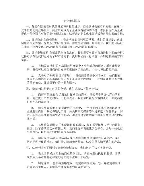 商业策划报告