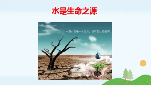 第1课《水是生命之源》课件