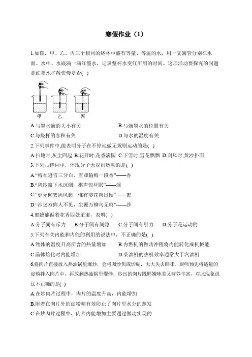 人教版九年级物理 寒假作业(1)