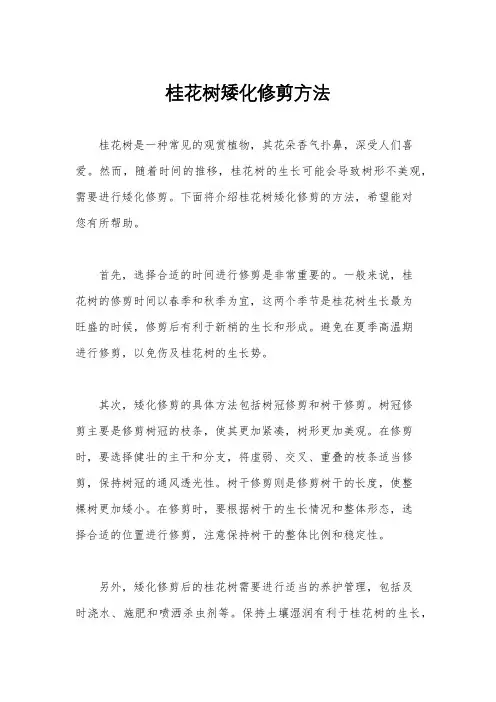 桂花树矮化修剪方法