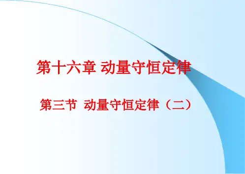 16.3 动量守恒定律(二)