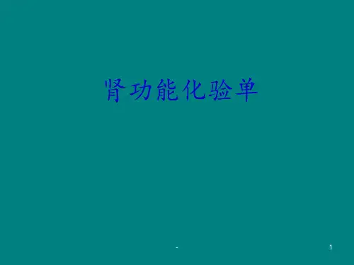 肾功能化验单大全ppt课件
