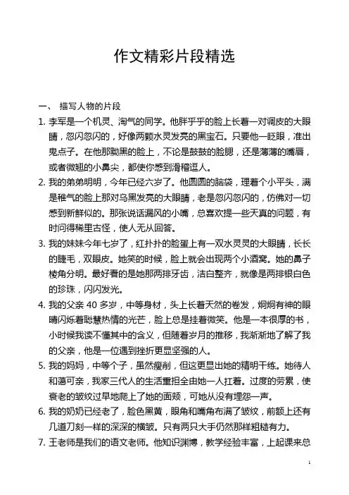 作文精彩片段精选