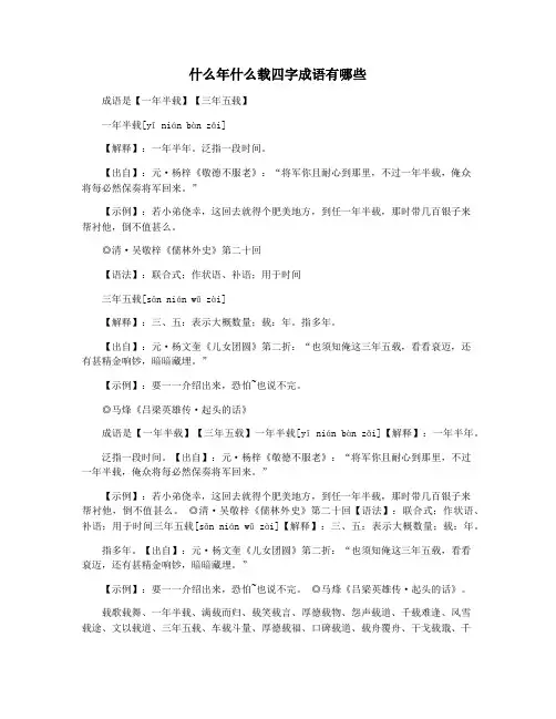 什么年什么载四字成语有哪些