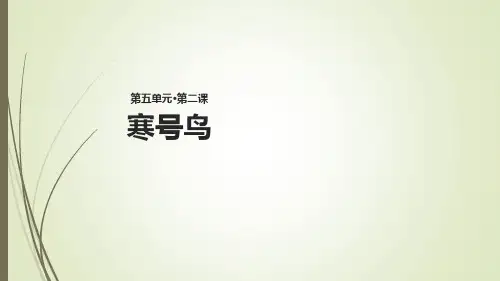寒号鸟课件(共27张PPT)