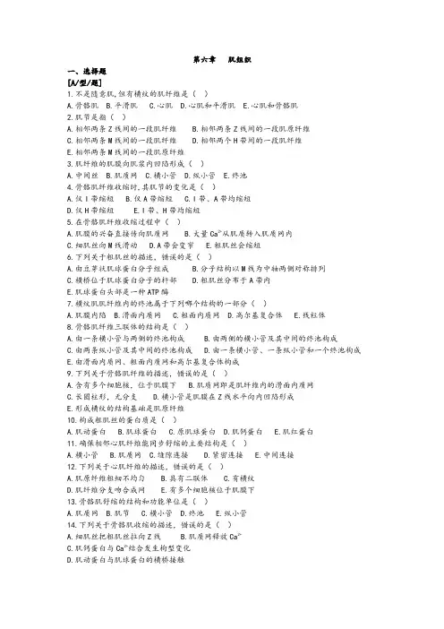第六章   肌组织