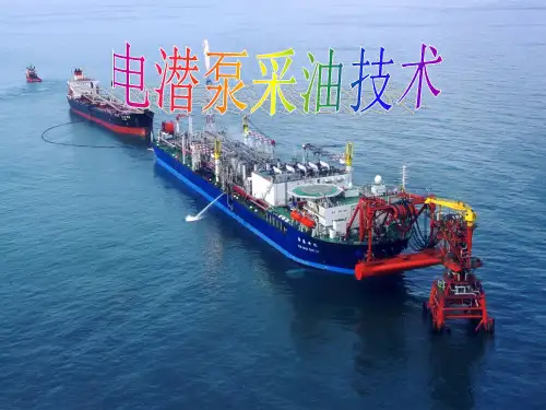 电潜泵的详细介绍概述.