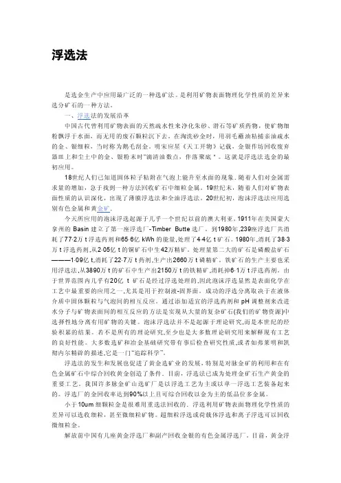 浮选法——精选推荐