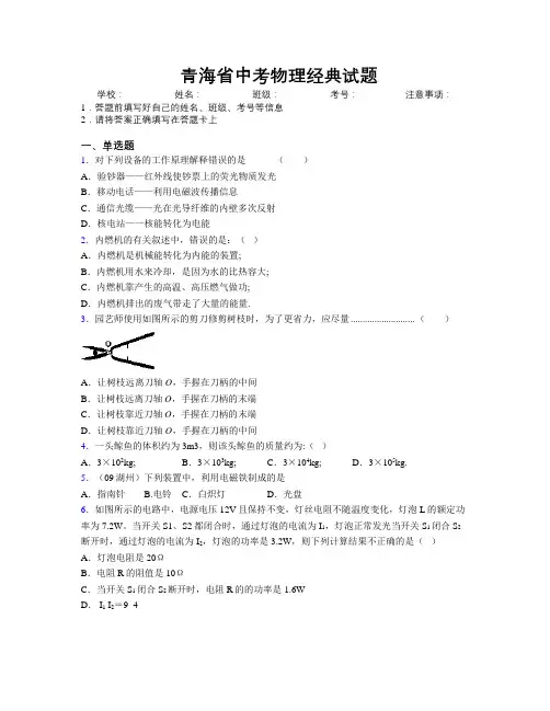 精编青海省中考物理经典试题附解析