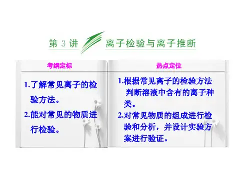 离子检验和鉴别.
