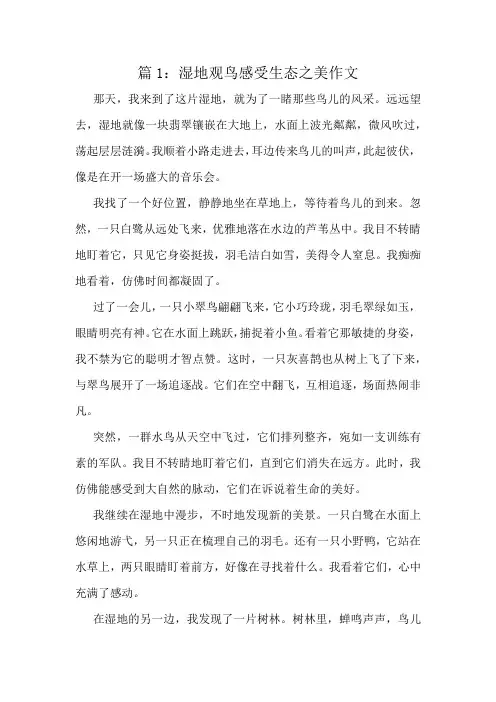 湿地观鸟感受生态之美作文精选8篇
