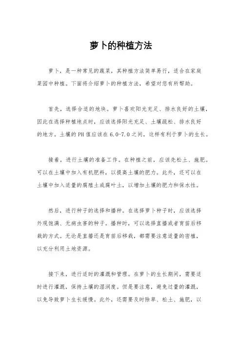萝卜的种植方法