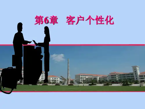 客户关系管理——第六章客户个性化