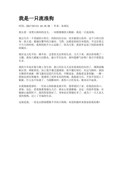 我是一只流浪狗