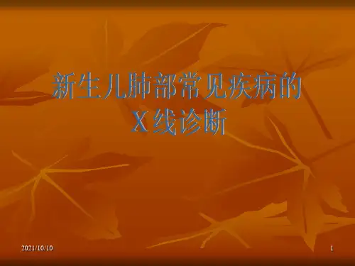 新生儿肺部常见疾病的X线诊断