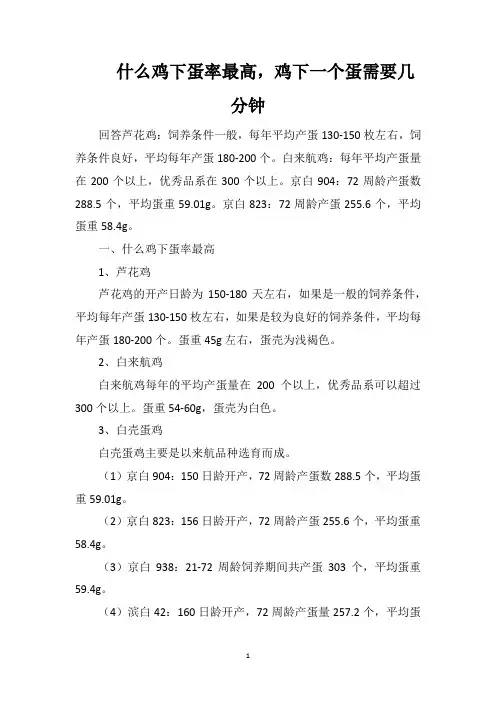 什么鸡下蛋率最高,鸡下一个蛋需要几分钟