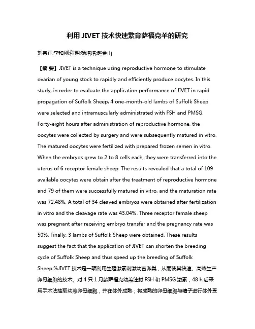 利用JIVET技术快速繁育萨福克羊的研究